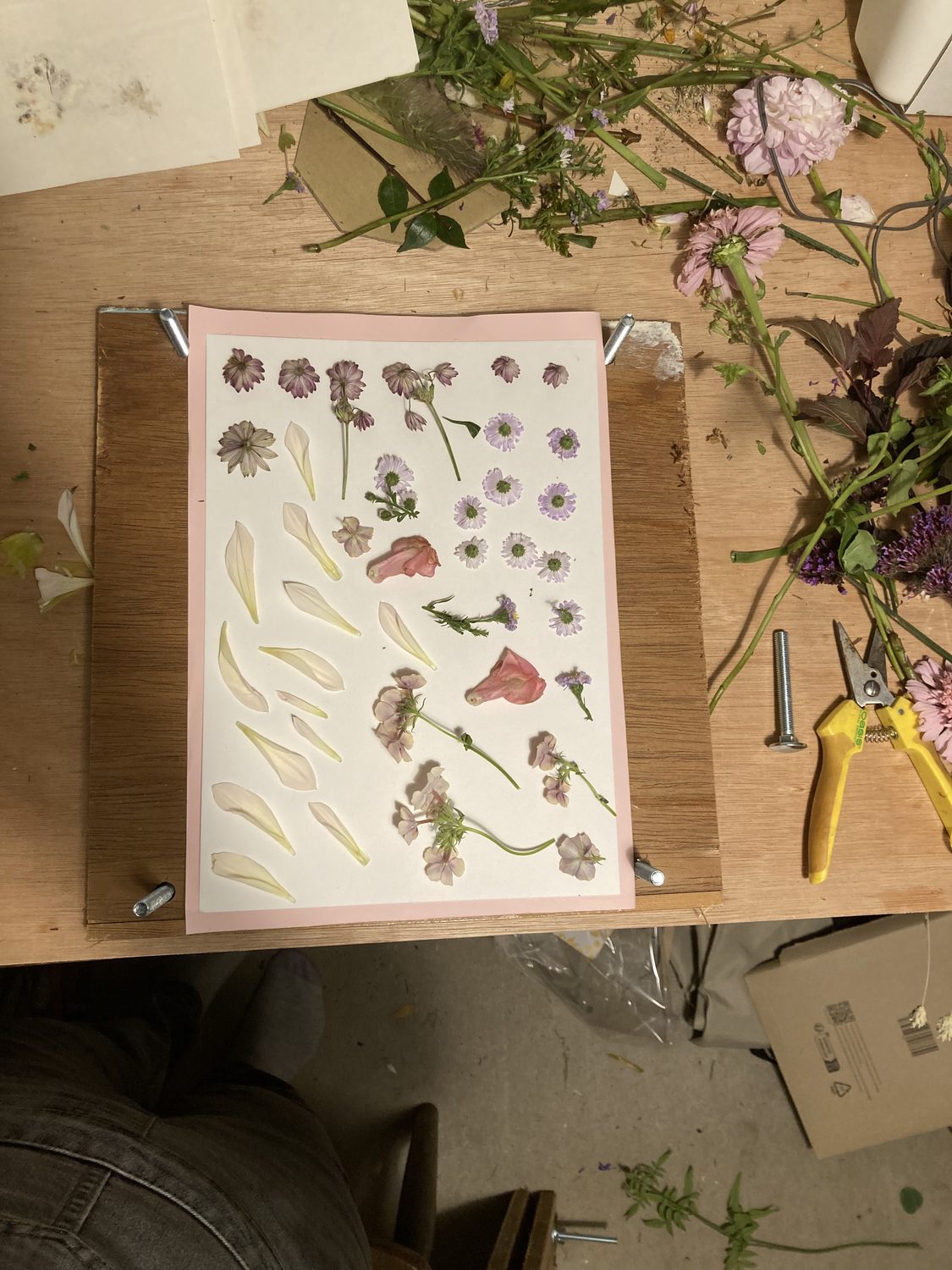 Becky at work, pressing and arranging dried flowers